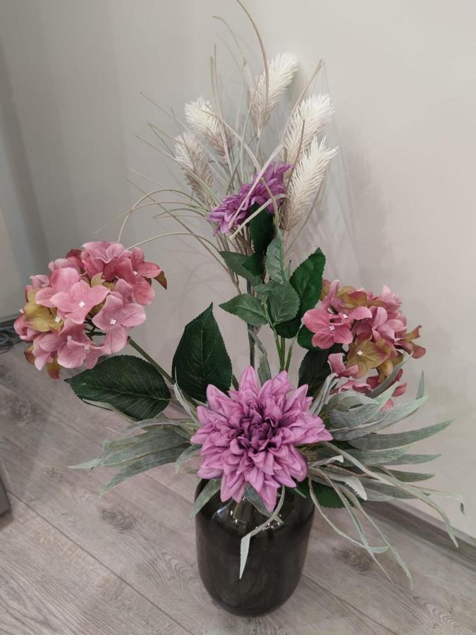 דובריץ Flowers Apartment מראה חיצוני תמונה